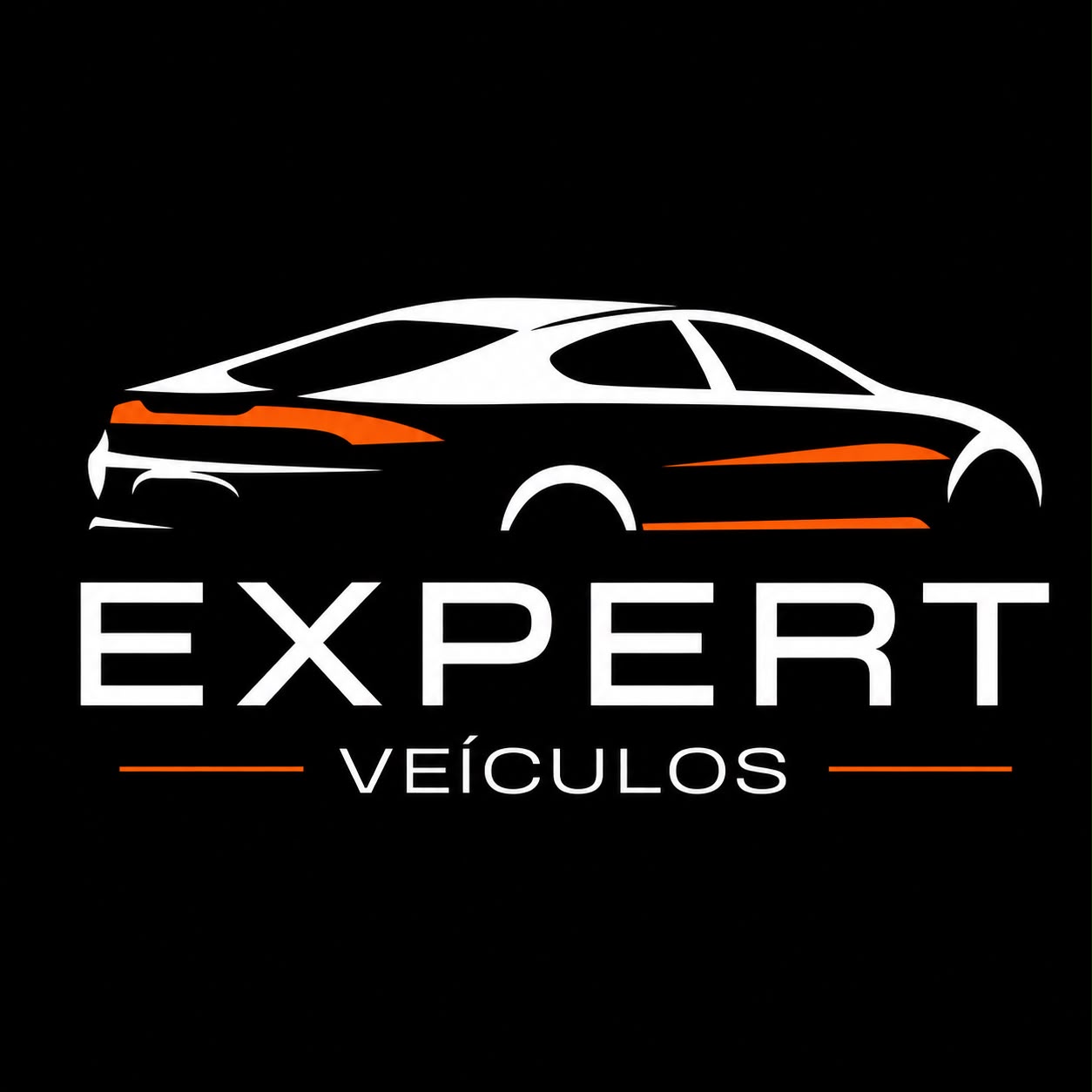 EXPERT VEIXULOS